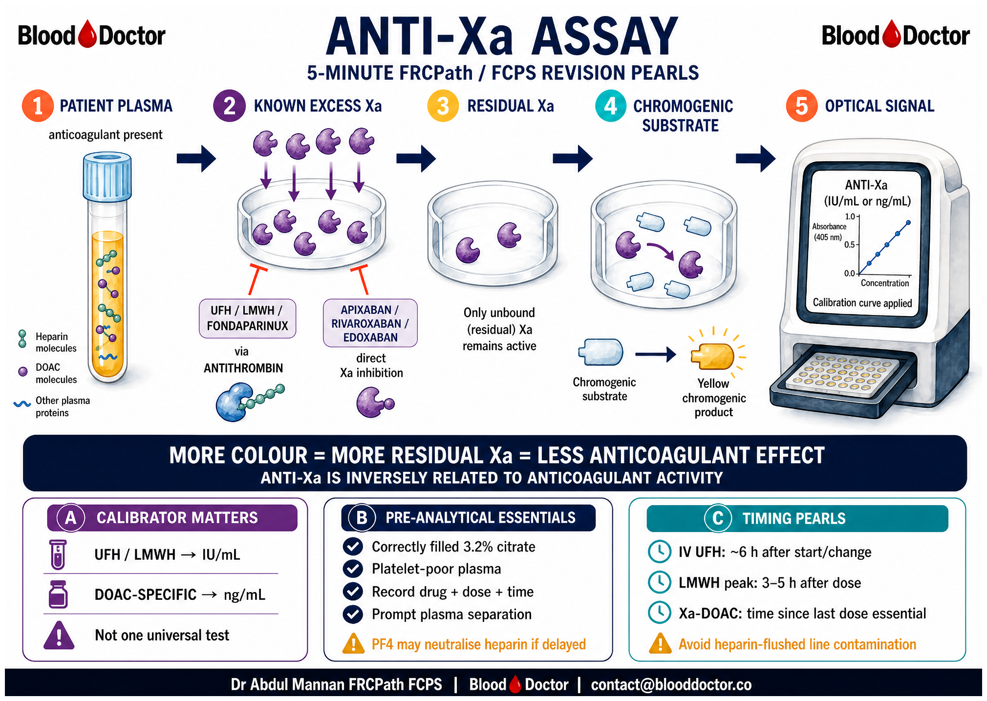 Diagram showing anticoagulant-mediated inhibition of factor Xa, reduced chromogenic colour formation, and the importance of the correct calibrator.
